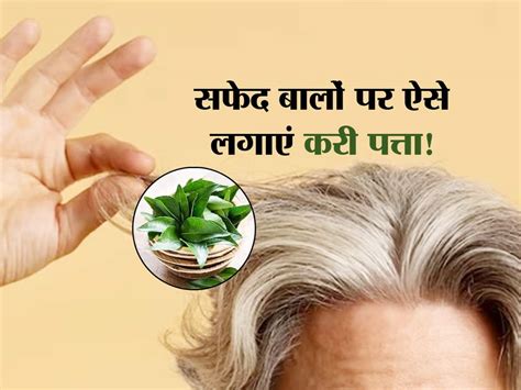 Curry Leaves For Grey Hair सफेद बालों को काला करने के लिए इस्तेमाल