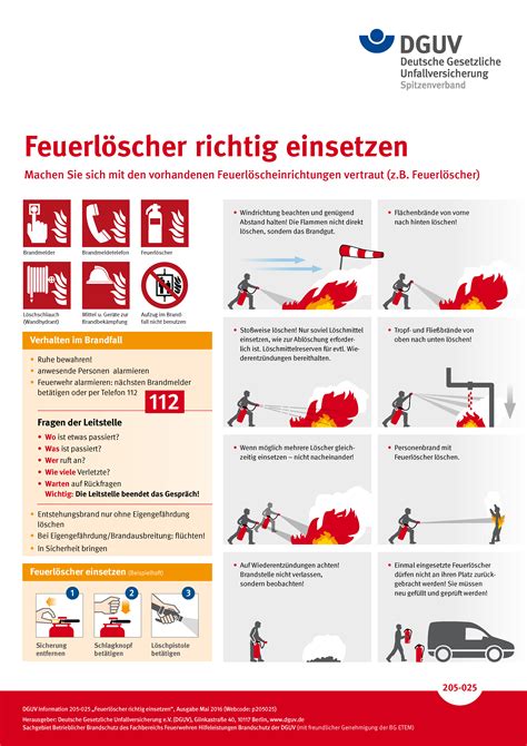 Plakat Feuerl Scher Richtig Einsetzen Dguv Informationen Regelwerk