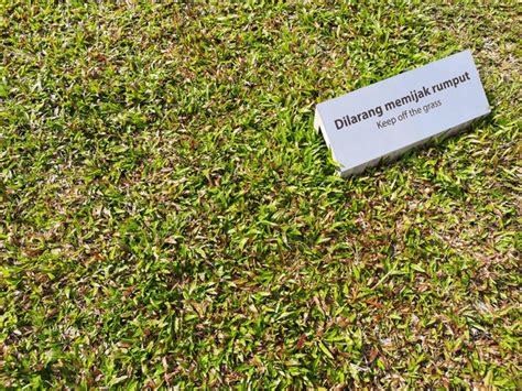 Dilarang Memijak Rumput Royalty Free Images Stock Photos And Pictures