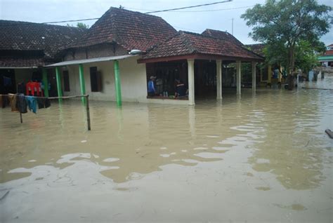 Banjir Genangi Sawah Dan Rumah Warga Di Pelalawan Media Peduli