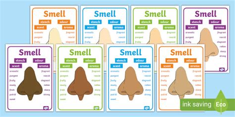 Smell Vocabulary Display Poster Twinkl