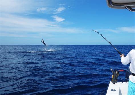 Galveston Fishing Spots: The 6 Best Places - Wide Open Spaces