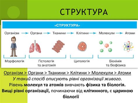 Науки, що вивчають життя. Урок №2 - презентация онлайн