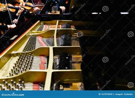 Detail of the Interior of a Piano with the Soundboard, Strings and Pins Stock Image - Image of ...