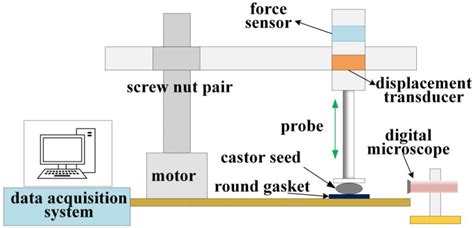 Research On Structuralmechanical Properties During The Castor Episperm