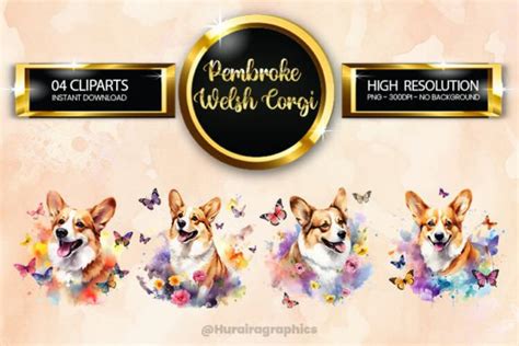 Pembroke Welsh Corgi Clipart Bundle Graphic By Hurairagraphics