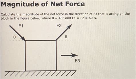 Solved Magnitude of Net Force Calculate the magnitude of the | Chegg.com