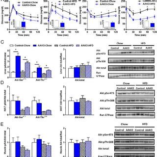 Effects Of Adipocyte Specific ATGL Deletion On Systemic Energy