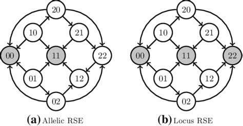 Reciprocal Sign Epistasis With More Than Two Alleles Vertices