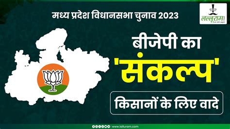 Bjp का संकल्प पत्र किसानों के लिए बड़ी घोषणा 3100 में धान खरीदी