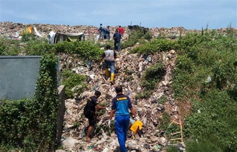 Ya Allah Pemulung Temukan Jasad Bayi Membusuk Di Tpa Sidoarjo