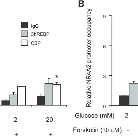 Glucose Dependent Recruitment Of Cbp To The L Pk Gene Promoter Is