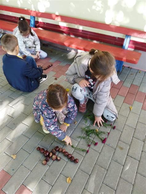 Procesul Educational LICEUL TEHNOLOGIC PETRE MITROI BILED