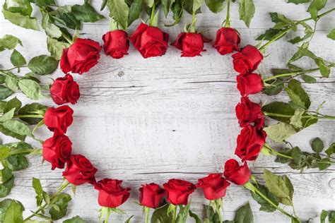 Red Roses Forming A Circle Stock Photo Image Of Spring 70136114