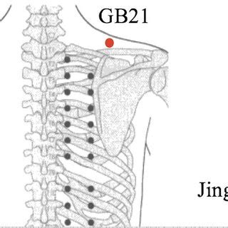 Location Of Acupoints For Acupuncture Treatment GB20 GB21 S13 LU7