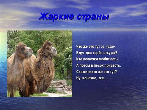 Животные жарких стран - презентация онлайн