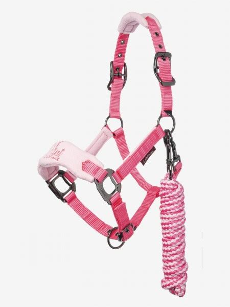 Mini Lemieux Vogue Headcollar And Leadrope Tc Feeds And Tack Haven Inydy