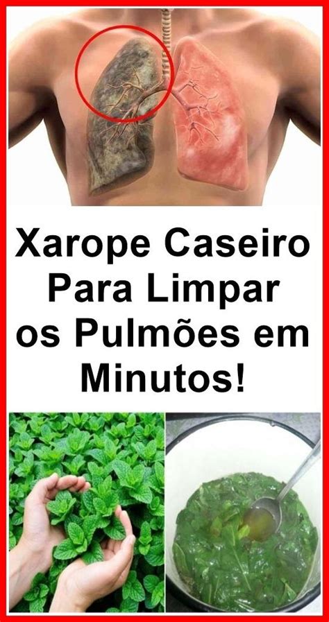 Xarope Caseiro Para Limpar Os Pulm Es Em Minutos Medicinal Herbs