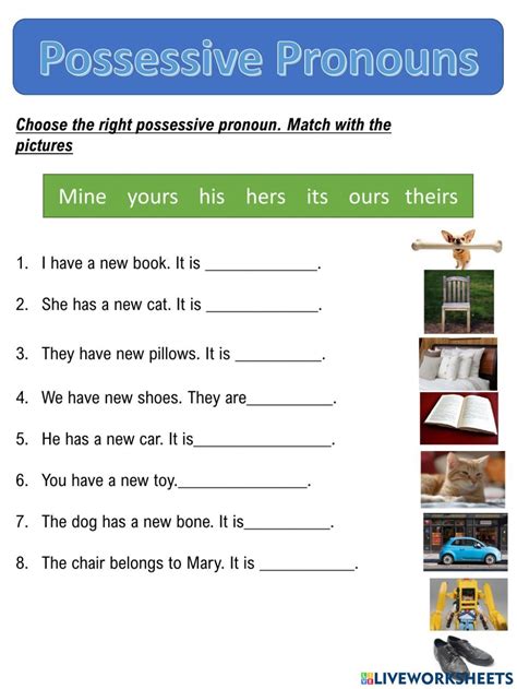 Possessive Pronoun Worksheets