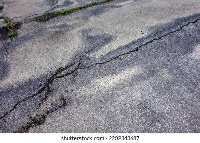 Tree Roots Under Asphalt Road Damaged Stock Photo 2202343687 Shutterstock