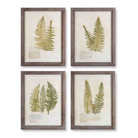 Fern Leaf Framed Art Prints Set Of 4 Kirklands Framed Wall Art