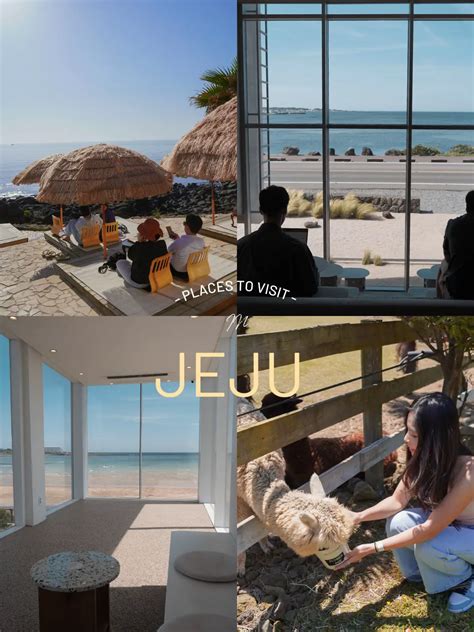 Jeju Cafes To Add Into Your Itinerary Gallery Posted By Rachel