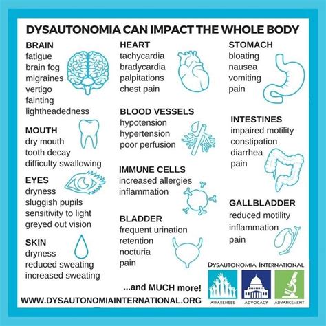 Dysautonomia The Basics