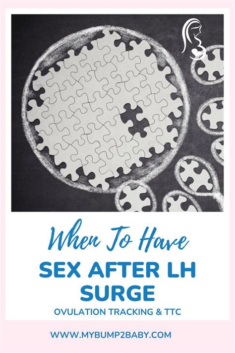 When To Have Sex After Lh Surge Ovulation Tracking Ttc Artofit