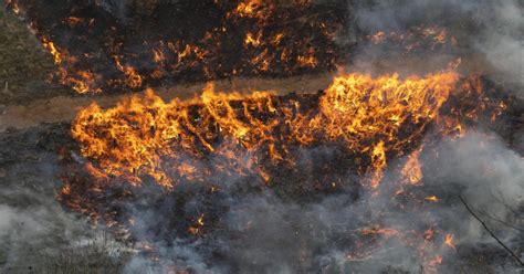 El fuego arrasa en España casi 40 000 hectáreas hasta abril más del