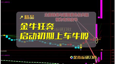 通达信总市值选股指标公式及详解 金指标研习社