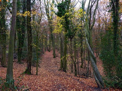 Photographs Of Coopers Hill Nature Reserve Gloucestershire England