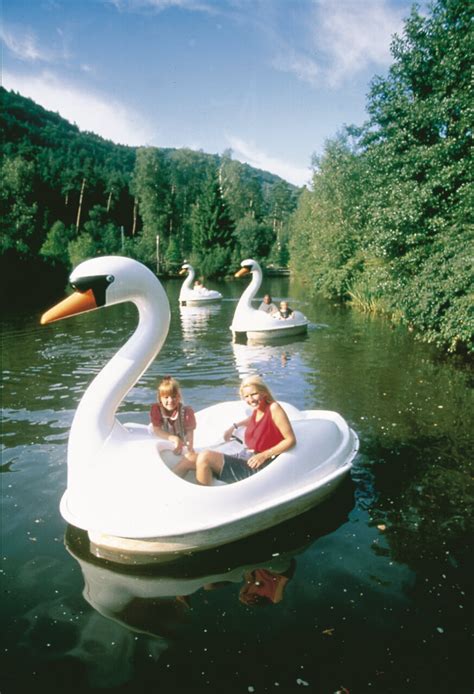 Schwanentretboote Kurpfalz Park Wachenheim Der Große Wild Und