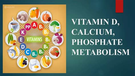 Vitamin D Calcium Phosphate Metabolism Ppt