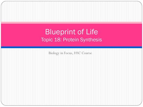 Blueprint Of Life Topic 18 Protein Synthesis Ppt Download