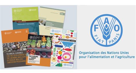 Travail Et Publications De Lorganisation Des Nations Unies Pour L