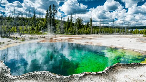 Human Foot Found In Yellowstone Hot Spring Identified Using Dna Iflscience