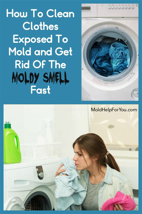 How To Get Mold Out Of Clothes and Fabrics | Mold Help For You