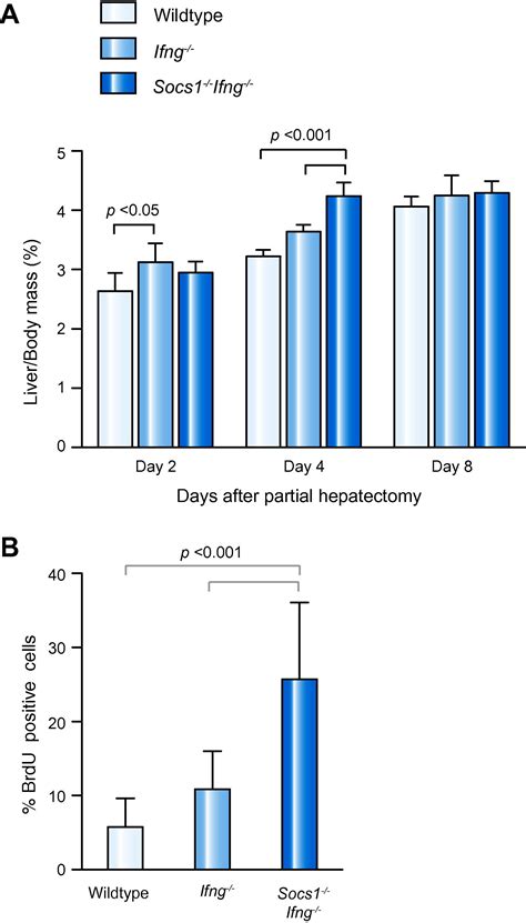 SOCS1 Controls Liver Regeneration By Regulating HGF Signaling In