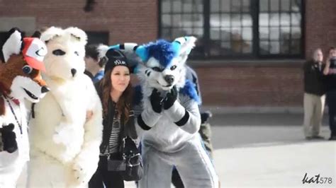 Fursuiting In Downtown Toronto Toronto Furwalk 2015 Youtube