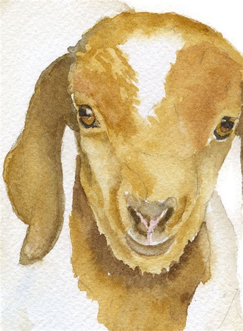 Goat Watercolor Painting 5 X 7 Giclee Print Farm Animal Etsy