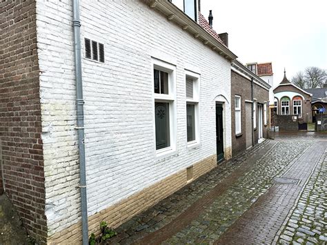 Mooi Plantaardig N Profile Van Den Driest Breiden Uit In De