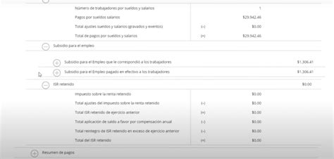 Visor de Nómina para Patrones 2023 Paso a paso Zentric