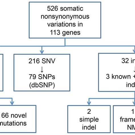 Summary Of Mutations Snv Single Nucleotide Variation Snp Single Download Scientific Diagram