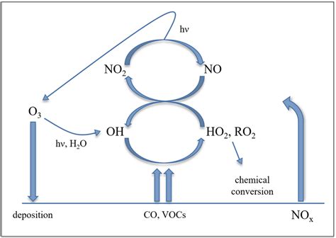 Ozone Cycle