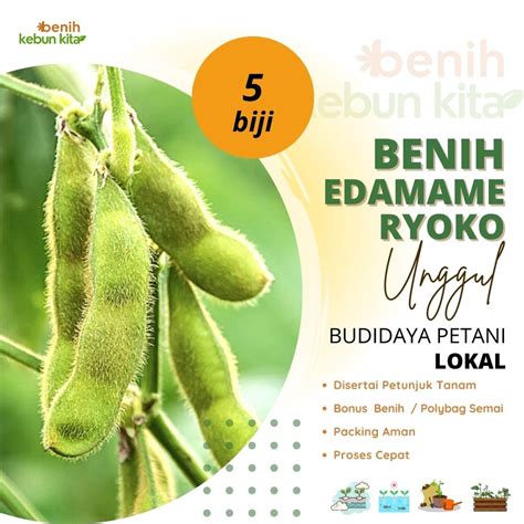 Jual 5 Biji Benih Unggul Kacang Kedelai Jepang Edamame Ryoko 75 Super