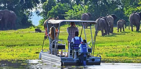 Days Murchison Falls Safari Ziwa Rhino Tracking Adventure