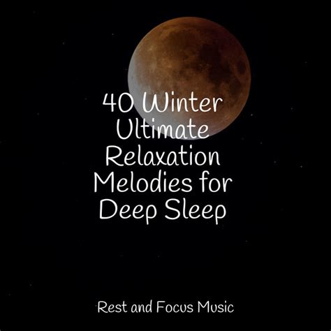 40 Winter Ultimate Relaxation Melodies For Deep Sleep Album By