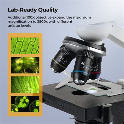 Buy [research Grade] Vabiooth Lab Compound Trinocular Microscope 40x 2500x Magnification With 7