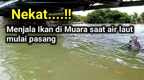 Ngeri Jala Ikan Di Muara Laut Saat Air Mulai Pasang Lihat Hasilnya