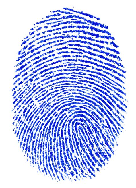 Confirmed: Samsung Galaxy S5 To Feature Fingerprint Scanner :: Galaxy ...